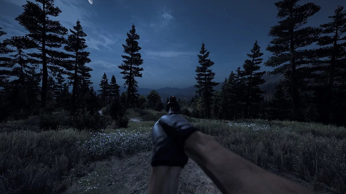 Far Cry 5 — Зміна балансу зброї