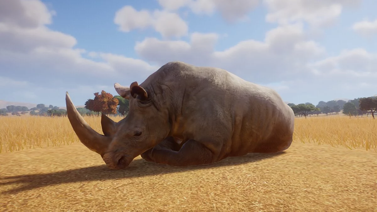 Planet Zoo — Белый носорог