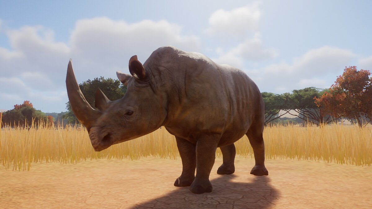 Planet Zoo — White rhinoceros