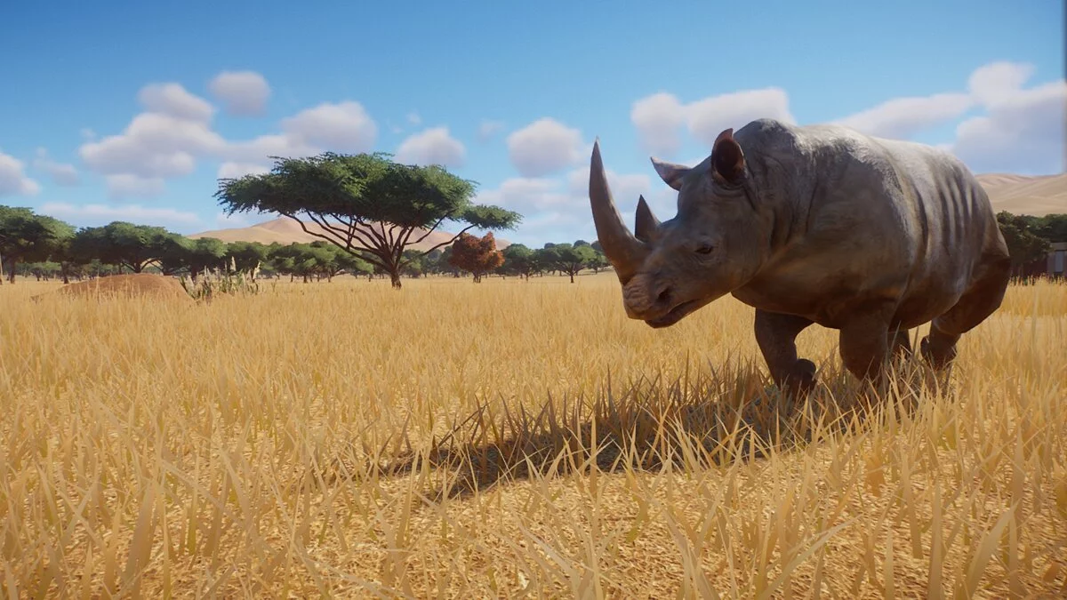 Planet Zoo — Белый носорог