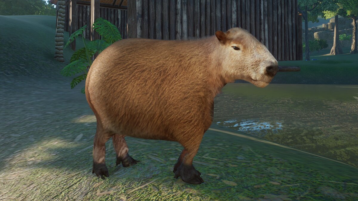 Planet Zoo — Capybara