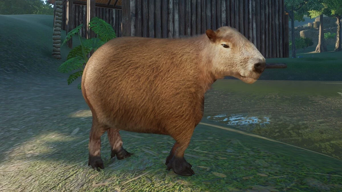 Planet Zoo — Capybara