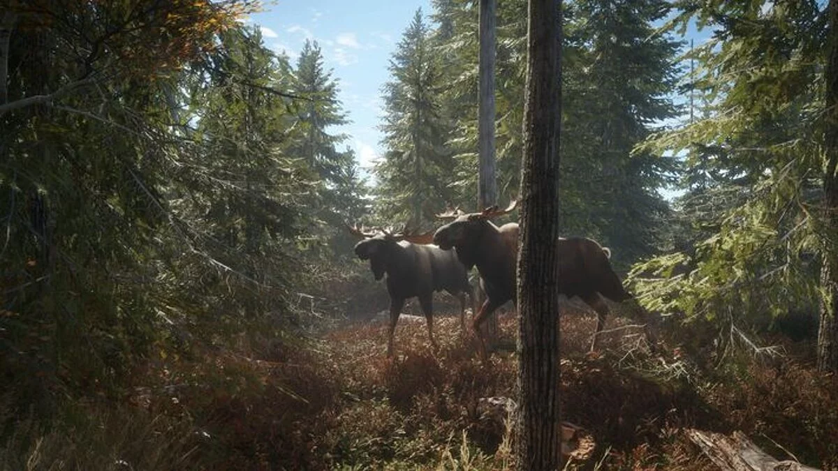 theHunter: Call of the Wild — Table for Cheat Engine [UPD: 07/10/2020/1863225]