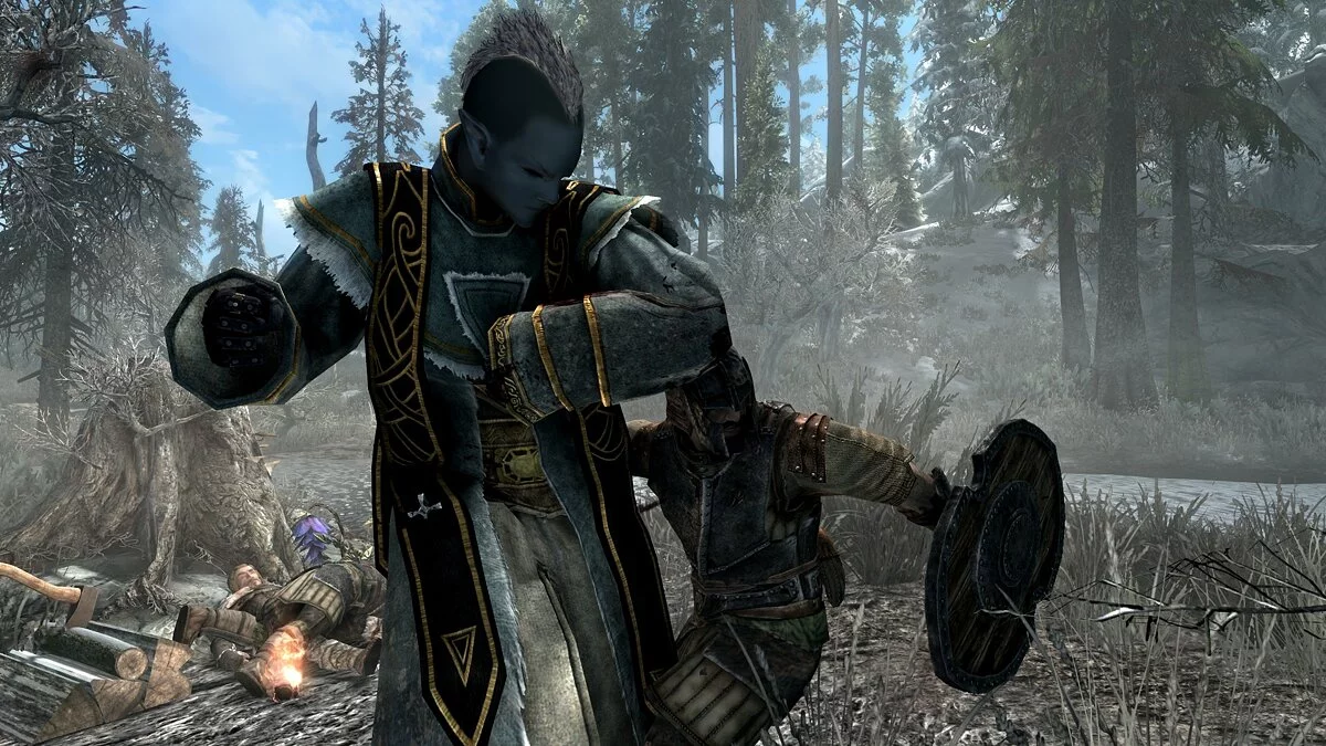 Elder Scrolls 5: Skyrim Special Edition — Компаньон Кико