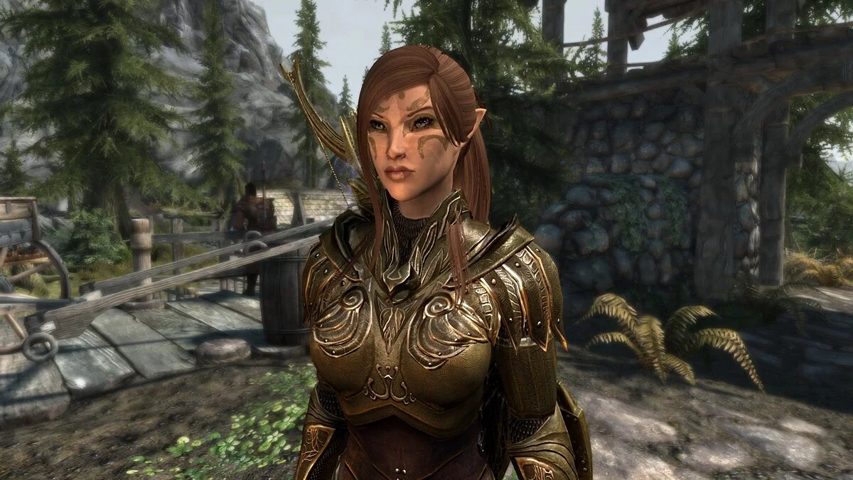 Elder Scrolls 5: Skyrim Special Edition — Эрвенет - пресет босмера