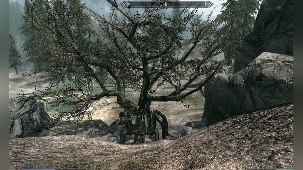 The Elder Scrolls 5: Skyrim Legendary Edition — walking trees