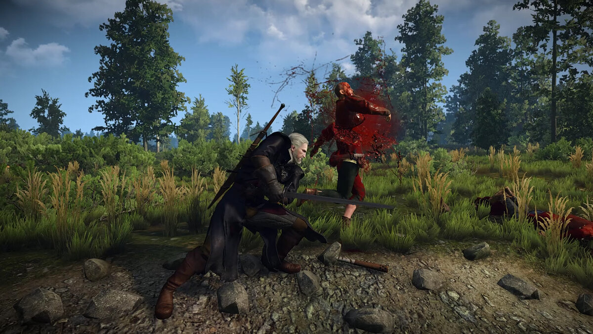 The Witcher 3: Wild Hunt - Complete Edition — Disabling the finishing chamber