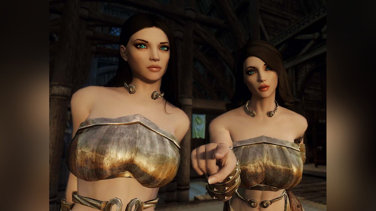 Elder Scrolls 5: Skyrim Special Edition — Companions Katrina and Veronica