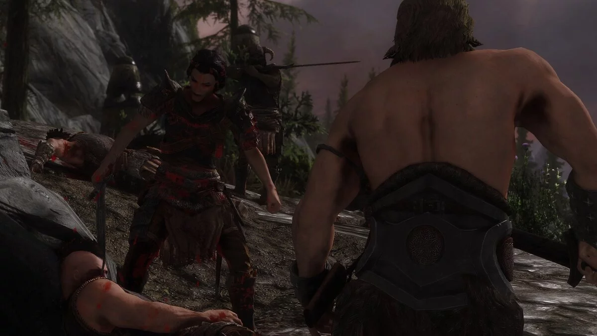 The Elder Scrolls 5: Skyrim Legendary Edition — Грязь и кровь - динамические визуальные эффекты