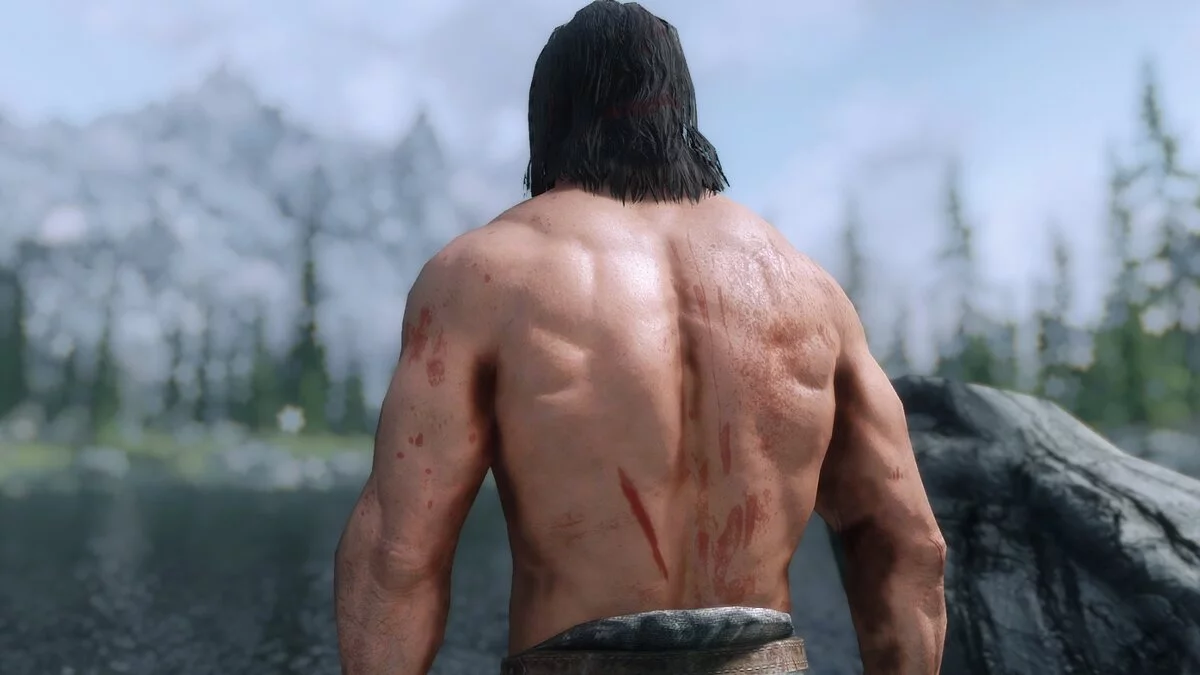 Elder Scrolls 5: Skyrim Special Edition — Грязь и кровь - динамические визуальные эффекты