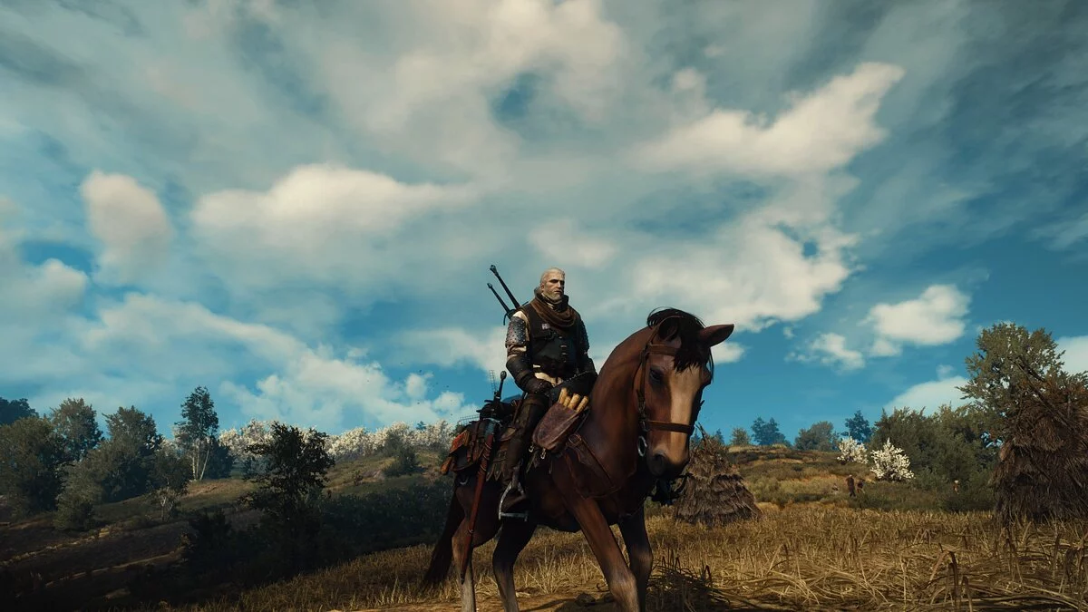 The Witcher 3: Wild Hunt - Complete Edition — Профессиональная экипировка