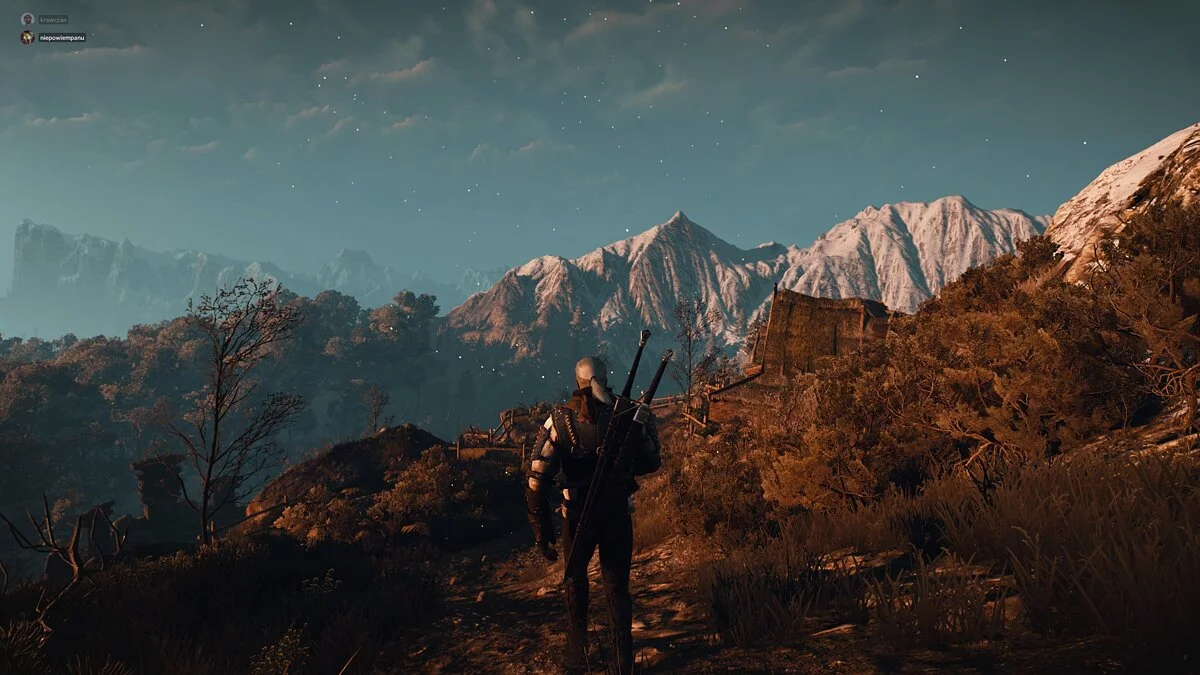 The Witcher 3: Wild Hunt - Complete Edition — Профессиональная экипировка