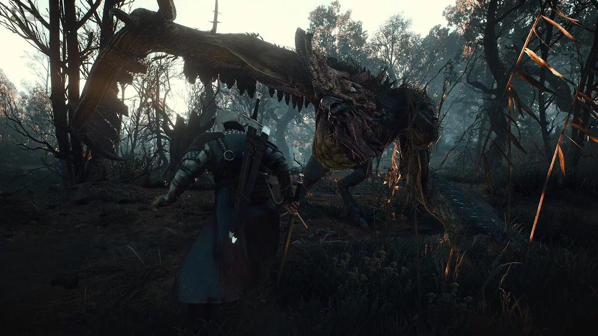 The Witcher 3: Wild Hunt - Complete Edition — Профессиональная экипировка