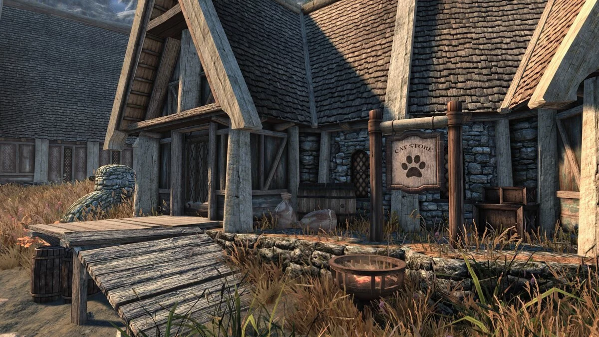 Elder Scrolls 5: Skyrim Special Edition — Кошачья жизнь