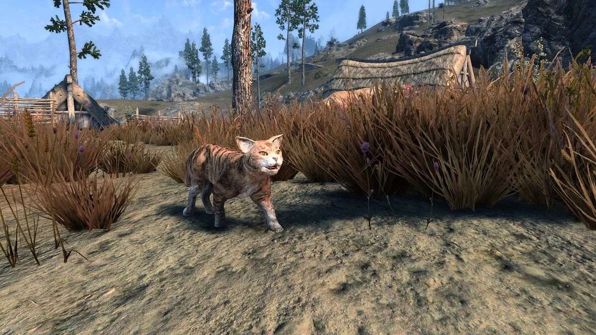 Elder Scrolls 5: Skyrim Special Edition — Кошачья жизнь