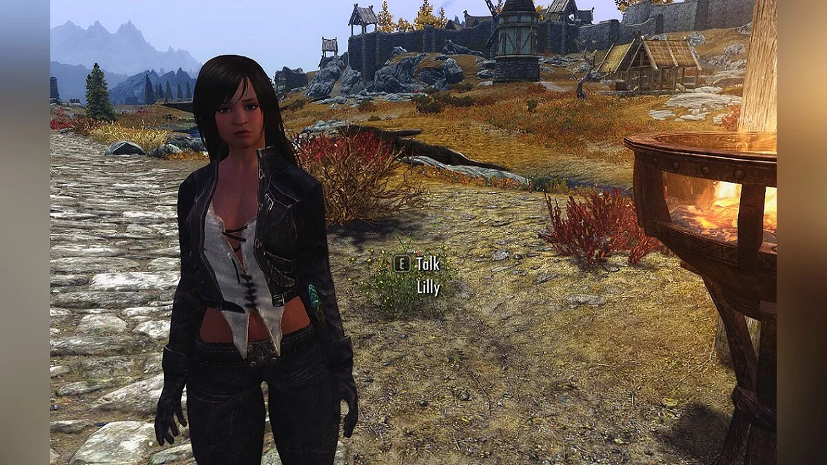 The Elder Scrolls 5: Skyrim Legendary Edition — Лилли - полностью озвученная женщина-курьер