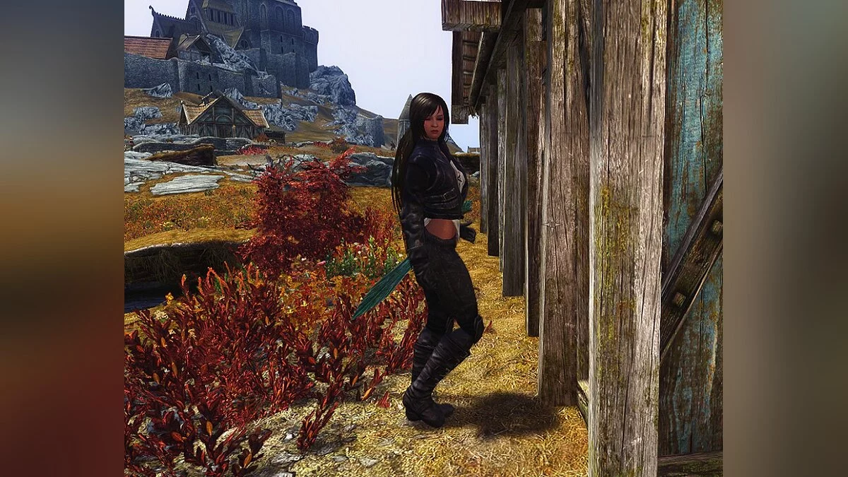 The Elder Scrolls 5: Skyrim Legendary Edition — Лилли - полностью озвученная женщина-курьер