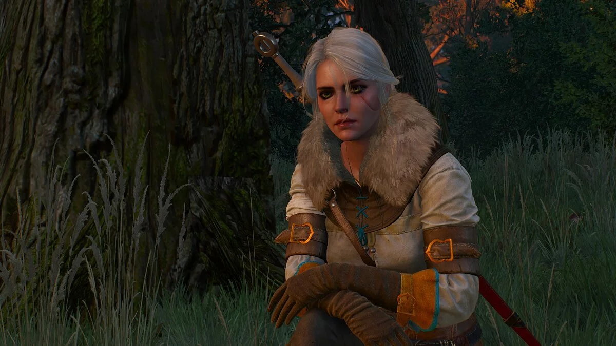 The Witcher 3: Wild Hunt — New adventures of Geralt and Ciri