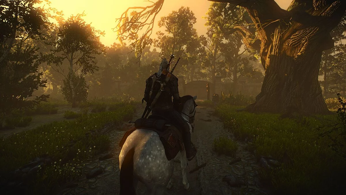 The Witcher 3: Wild Hunt — Частичное превращение игры в The Witcher 2