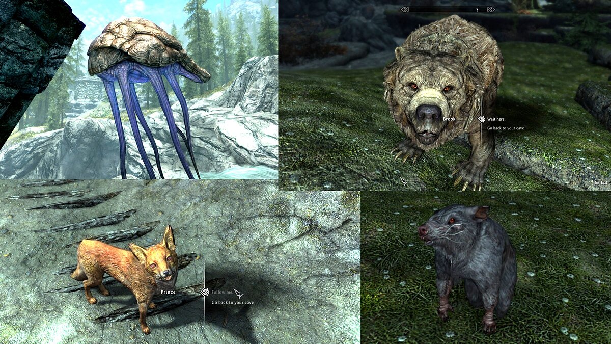 Elder Scrolls 5: Skyrim Special Edition — Pet companions