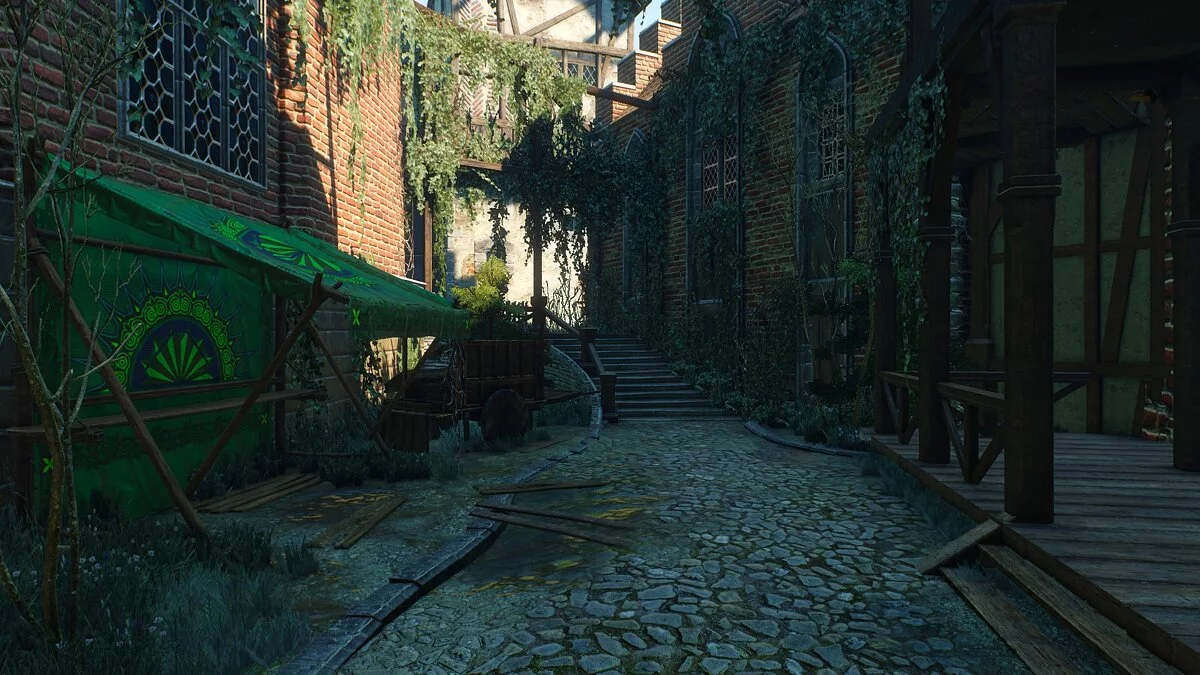 The Witcher 3: Wild Hunt - Complete Edition — Фотореалистичная графика