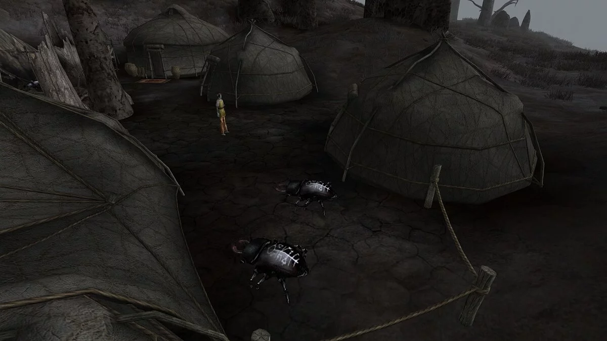 Elder Scrolls 3: Morrowind — Стадо эшлендеров