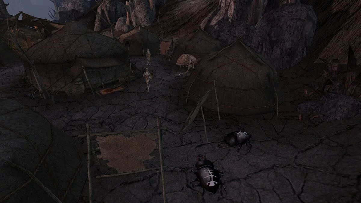 Elder Scrolls 3: Morrowind — Стадо эшлендеров