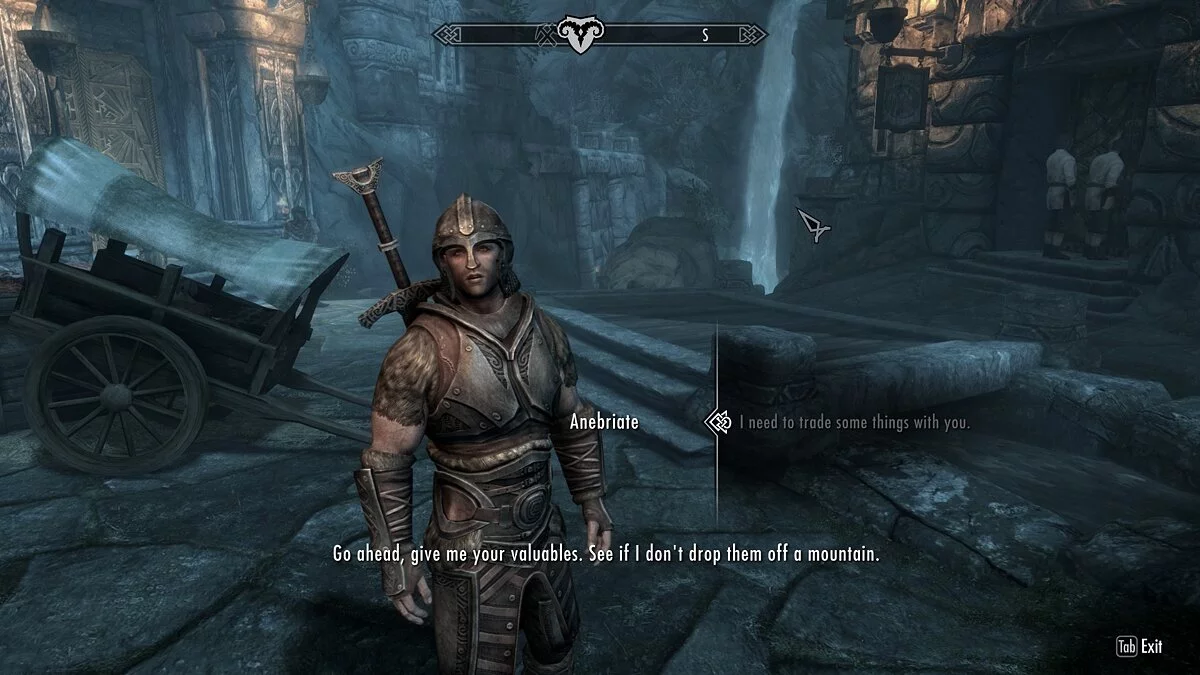 Elder Scrolls 5: Skyrim Special Edition — Компаньон Анибриет