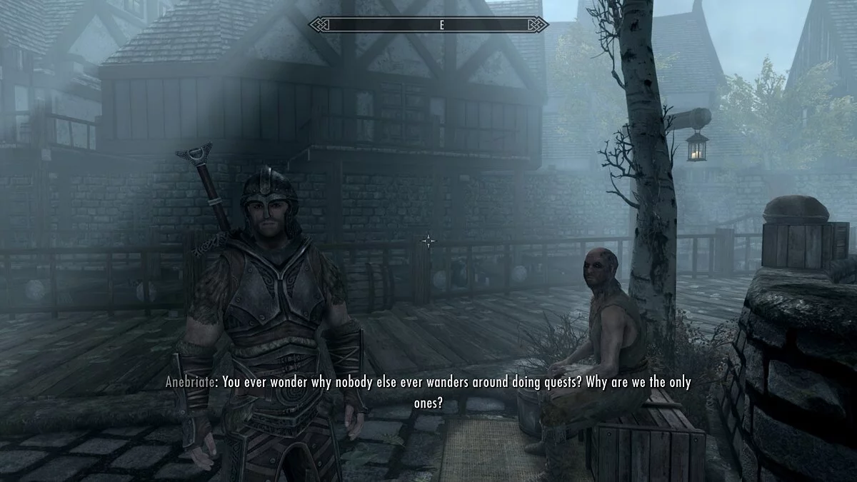 Elder Scrolls 5: Skyrim Special Edition — Компаньон Анибриет