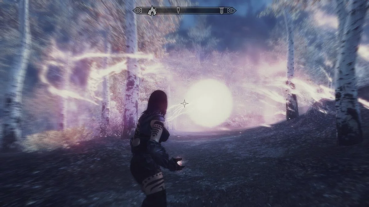 The Elder Scrolls 5: Skyrim Legendary Edition — Сингулярность