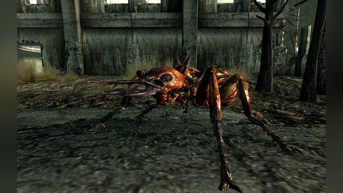 Fallout 3 — Більше вогняних мурах