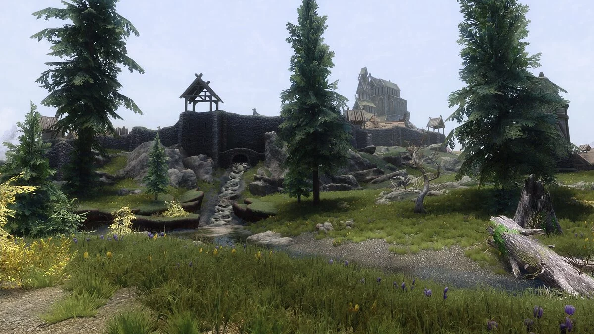 Elder Scrolls 5: Skyrim Special Edition — Летняя трава Вайтрана