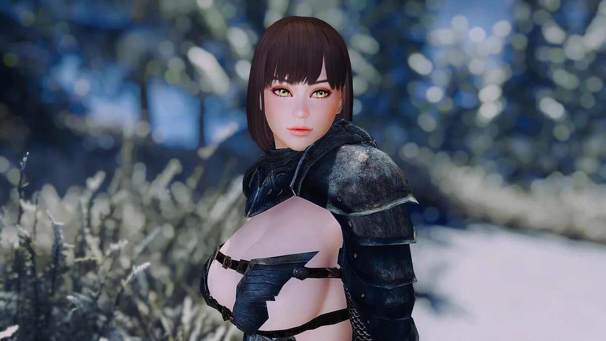 Elder Scrolls 5: Skyrim Special Edition — Балтиморский компаньон 