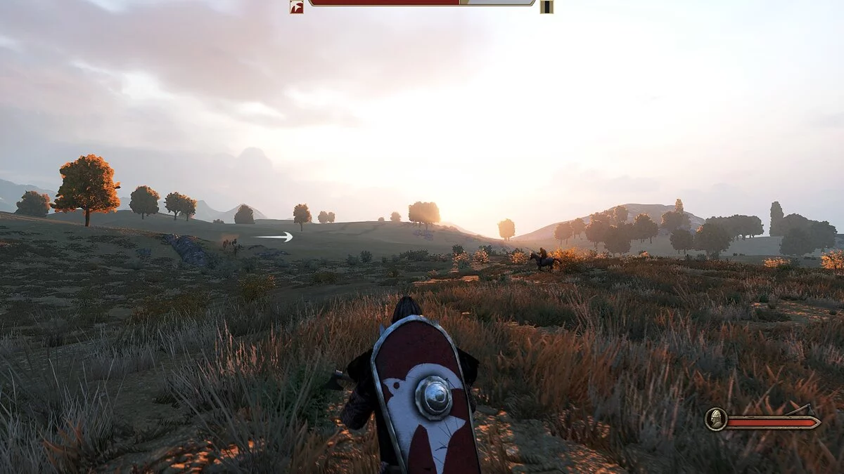 Mount &amp; Blade 2: Bannerlord — Покращені кольори