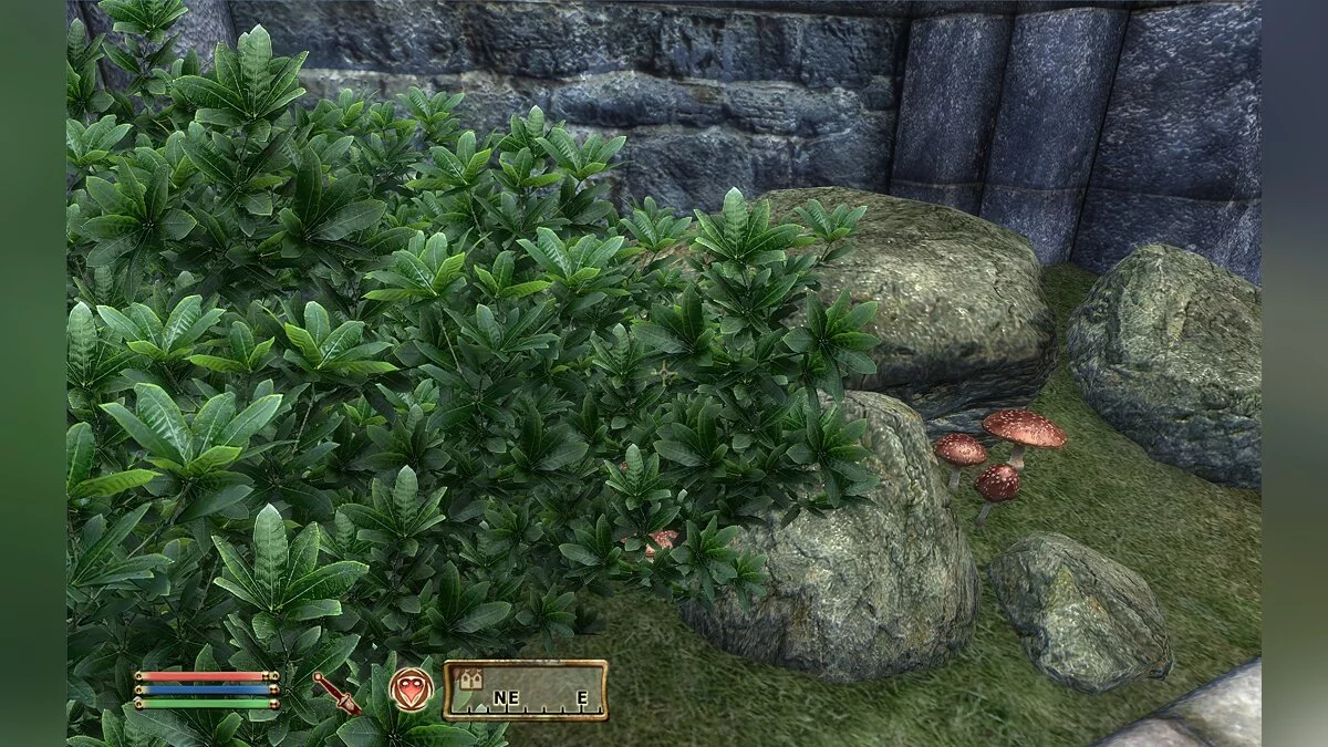 The Elder Scrolls 4: Oblivion — Улучшенные текстуры в 4x