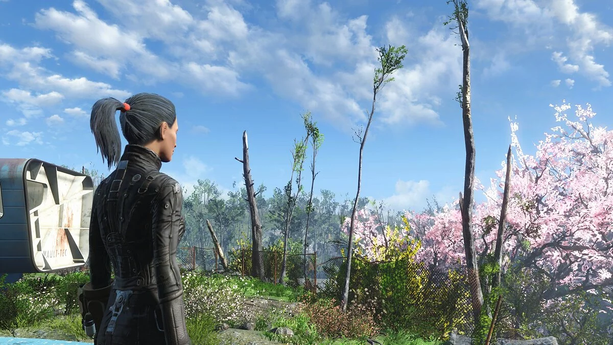 Fallout 4: Game of the Year Edition — Простая прическа с хвостиком