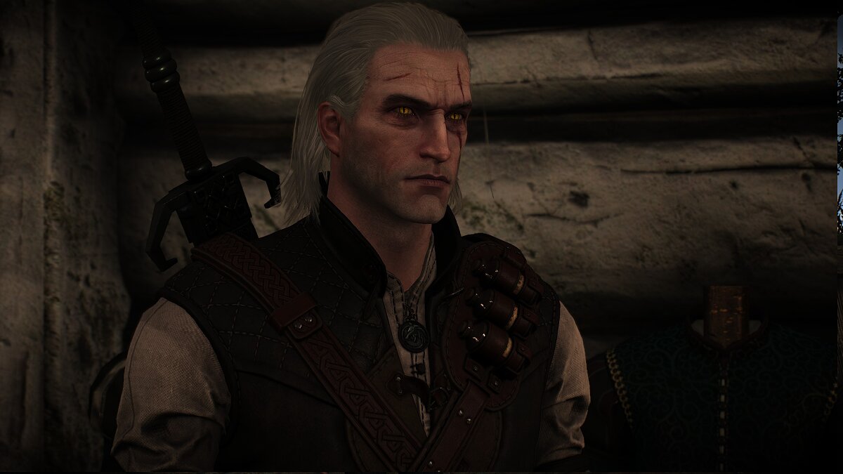 The Witcher 3: Wild Hunt - Complete Edition — Geralt's improved face