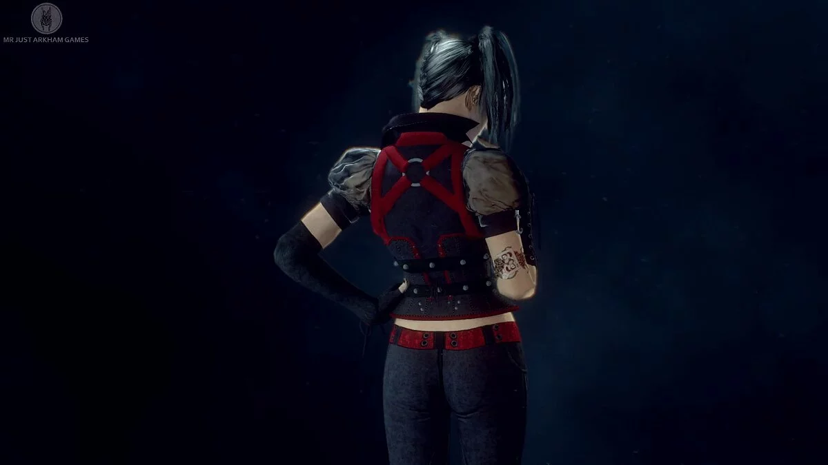 Batman: Arkham Knight Game of the Year Edition — Скорбящая Харли Квинн