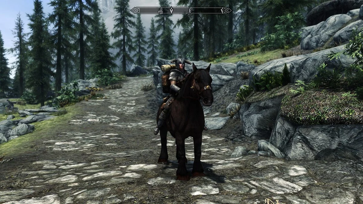 Elder Scrolls 5: Skyrim Special Edition — Increased endurance and speed of horses