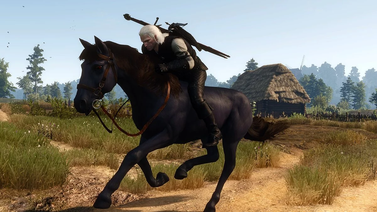 The Witcher 3: Wild Hunt - Complete Edition — Cola de cucaracha mejorada