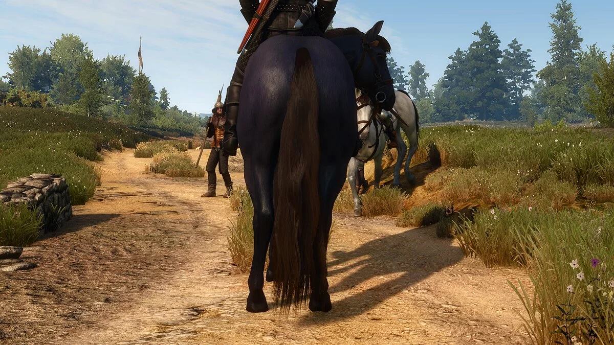 The Witcher 3: Wild Hunt - Complete Edition — Поліпшений хвіст Плотви
