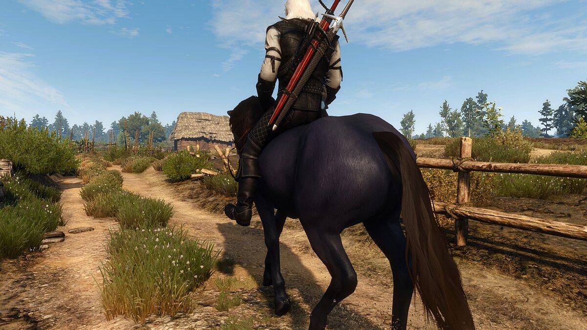 The Witcher 3: Wild Hunt - Complete Edition — Improved Roach Tail