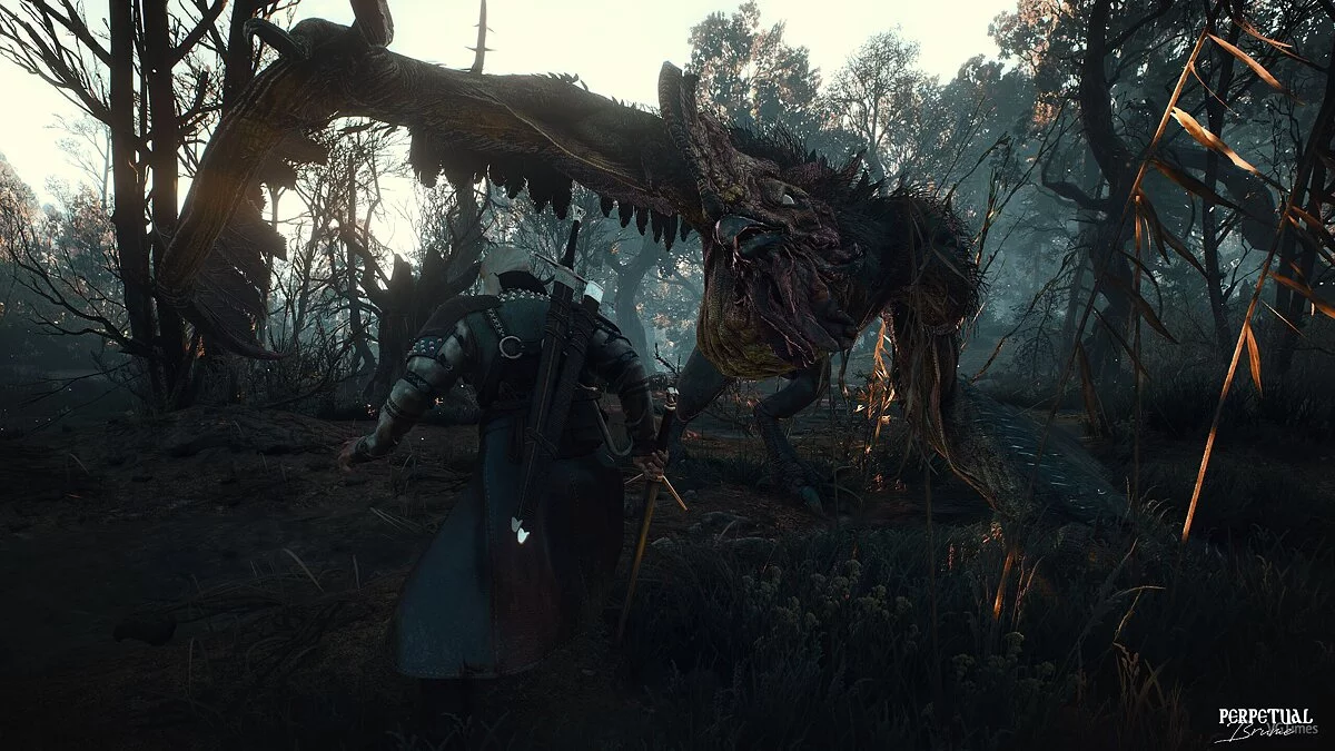 The Witcher 3: Wild Hunt — Вечная дымка