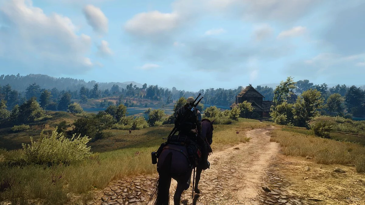 The Witcher 3: Wild Hunt — Вечная дымка