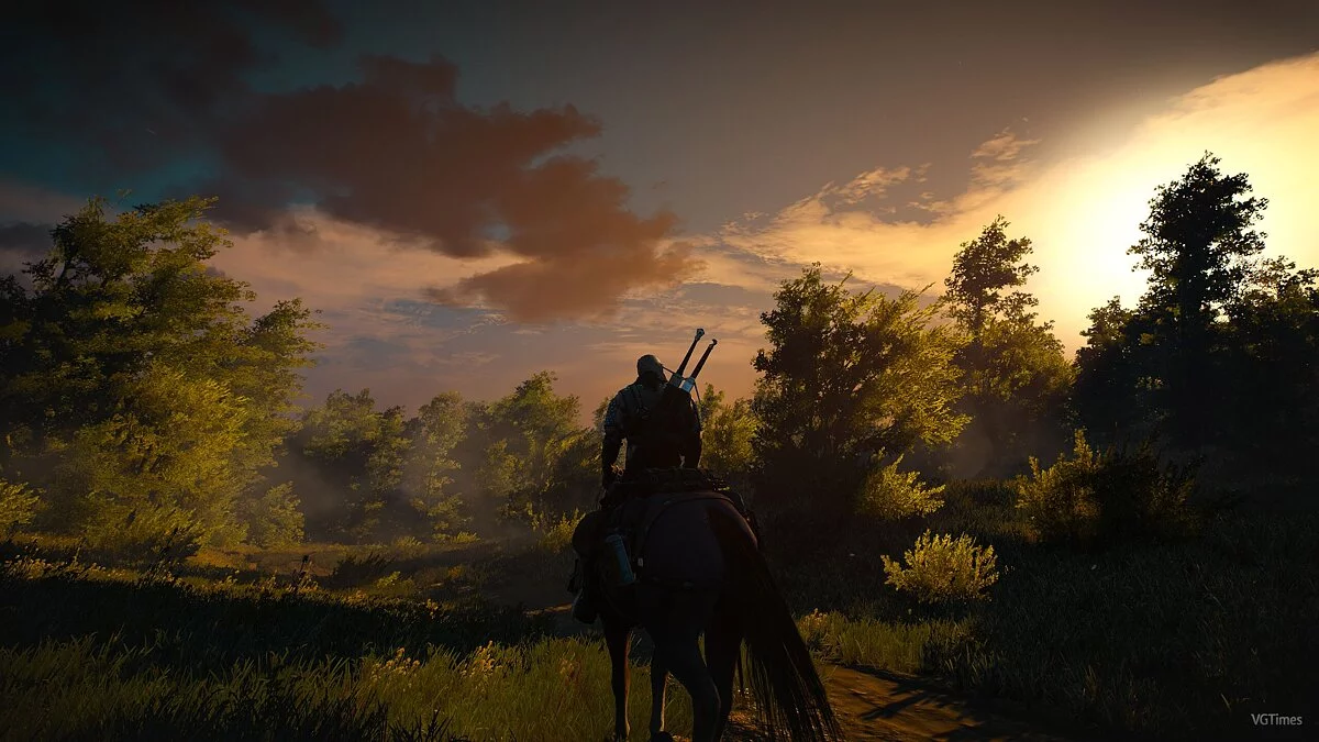 The Witcher 3: Wild Hunt — Вечная дымка