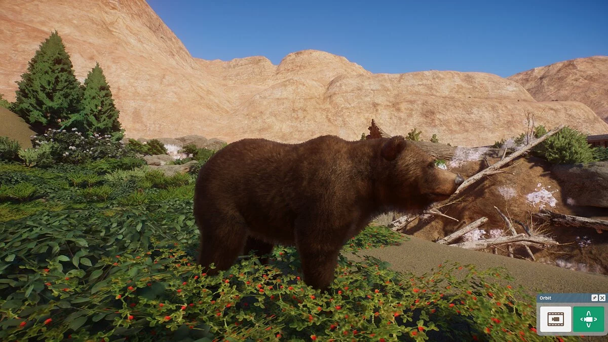 Planet Zoo — Улучшенные хищники
