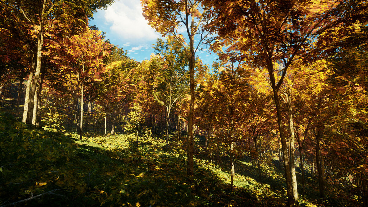 theHunter: Call of the Wild — Improved lighting