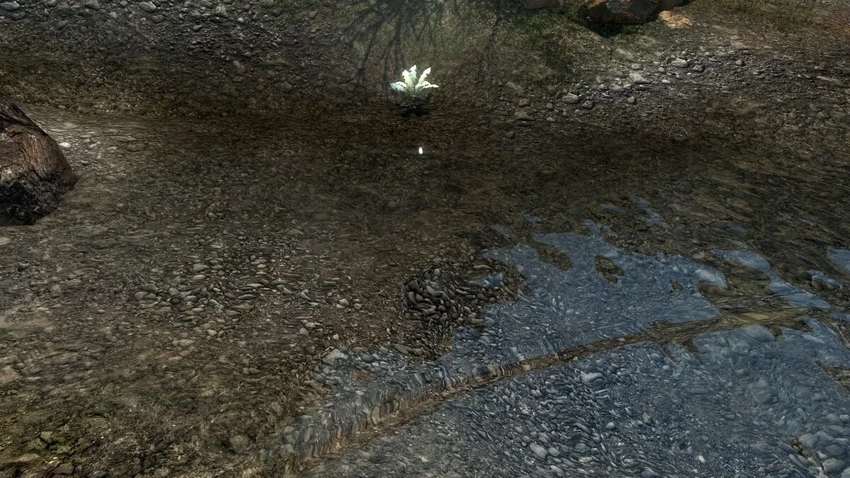 Elder Scrolls 5: Skyrim Special Edition — Улучшенные реки