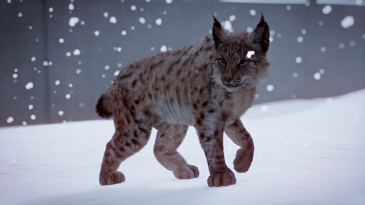 Planet Zoo — Eurasian lynx