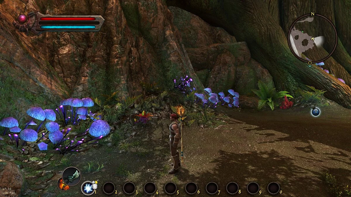 Kingdoms of Amalur: Reckoning (Special Edition) — Покращена корекція кольору